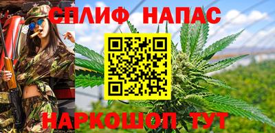 прущие грибы Кулебаки