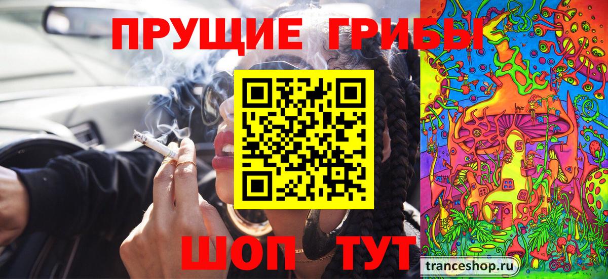 Псилоцибиновые грибы GOLDEN TEACHER Зеленодольск